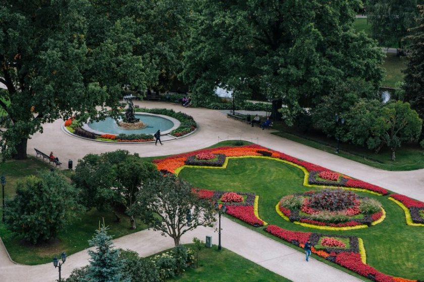 Flowers in Bastejkalna Park