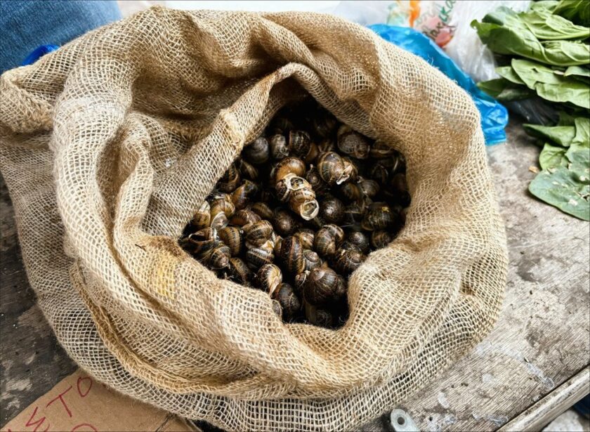 Snails - Cretan cuisine and food