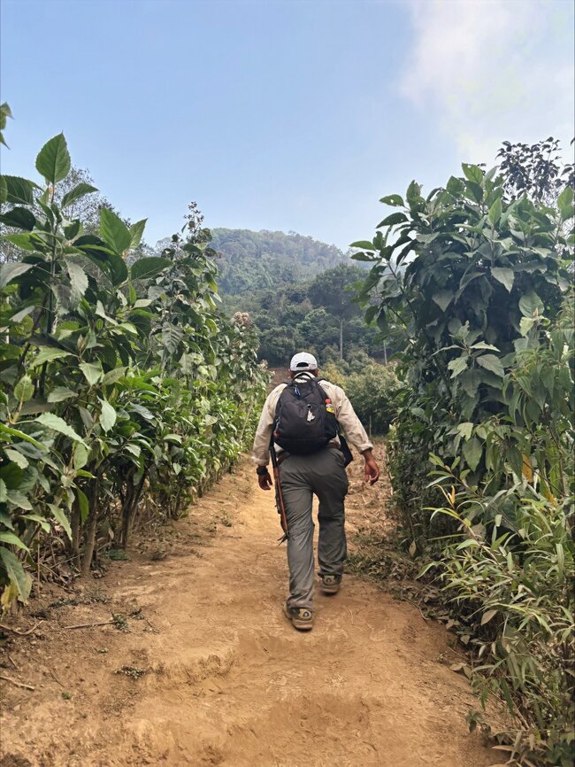 Guideded Indian Nose Hike from San Juan