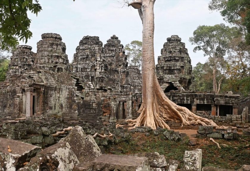 Banteay Kdei with gold tree