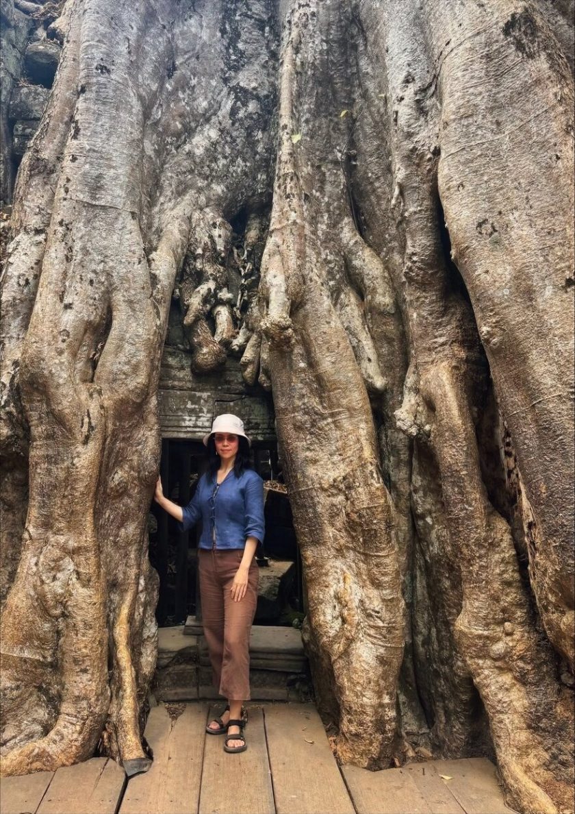 Trees in Ta Prohm temple