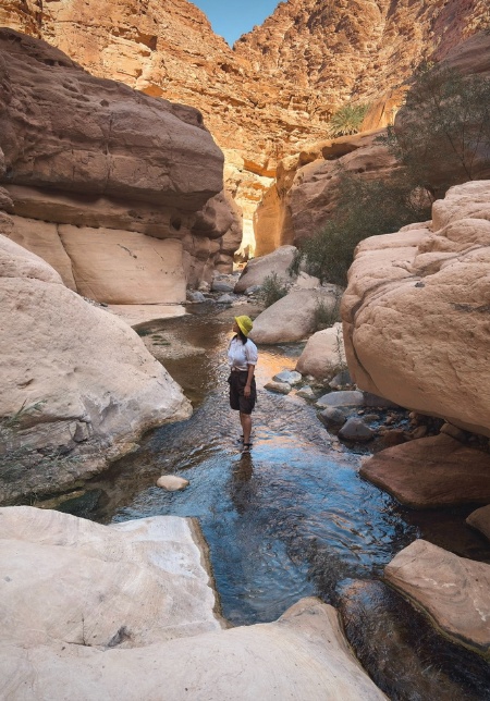 Geology of Dana Biosphere Reserve 