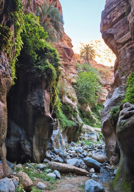 Canyon with hanging gardens in Jordan
