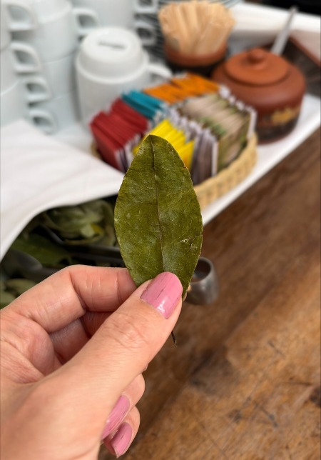 Coca leaves to cure altitude sickness
