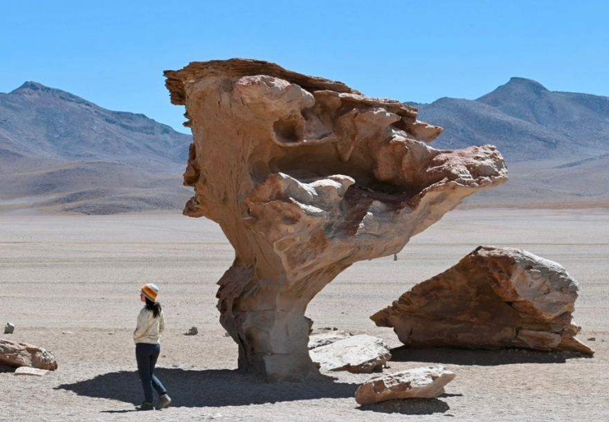 Tree rock formation in the Salvador Dali Desert