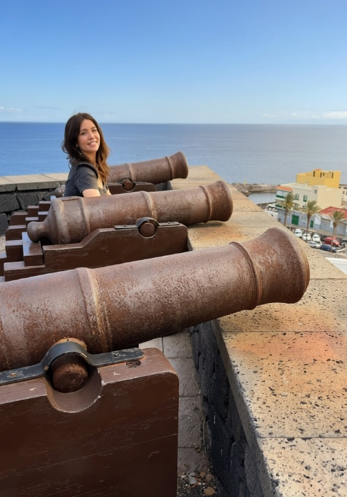 Cannons 