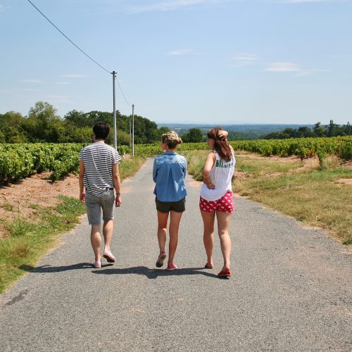 A relaxing holiday in France