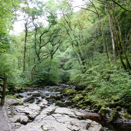 Ingleton's Waterfall Trail