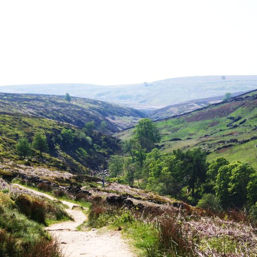 Path to Bronte Fallls