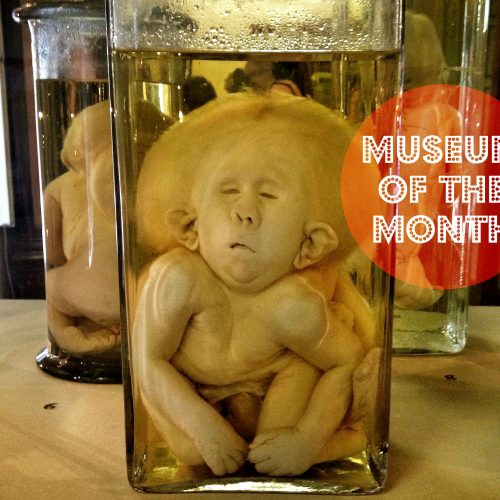 Kuntz-Kamera St Petersburg