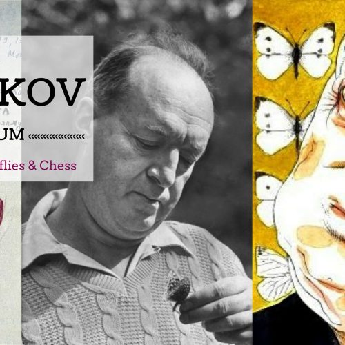 Nabokov Museum, Butterfly