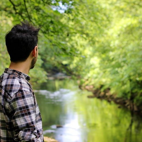 Yorkshire Dales, River Wharfe, Bolton Abbey