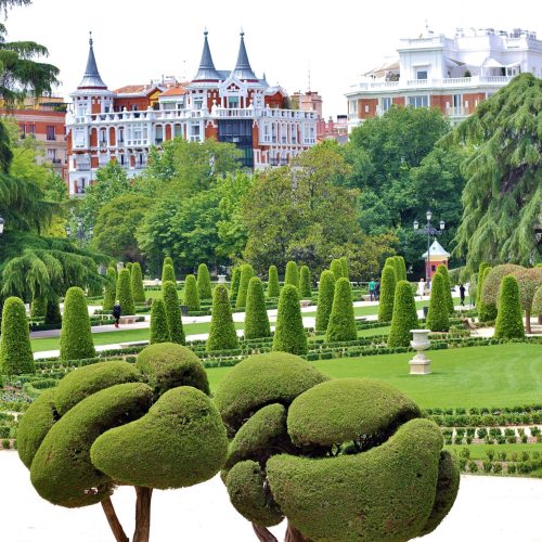 Retiro Park, Madrid, trees,