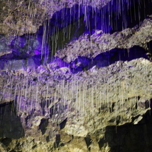 Stalactites inside White Scar Caves
