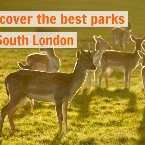 best-parks-in-south-london