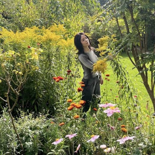 Flowers at Crook Hall Gardens in Durham