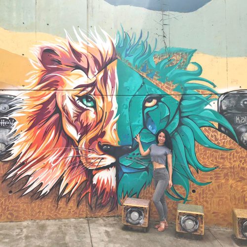 Goals for 2019 - The Culture Map