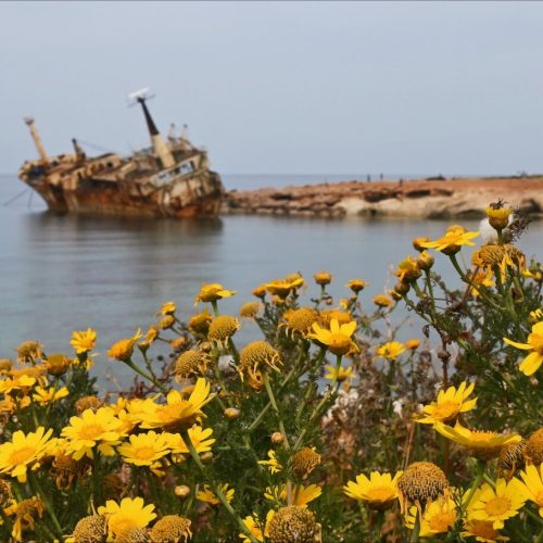 Paphos travel guide and things to do