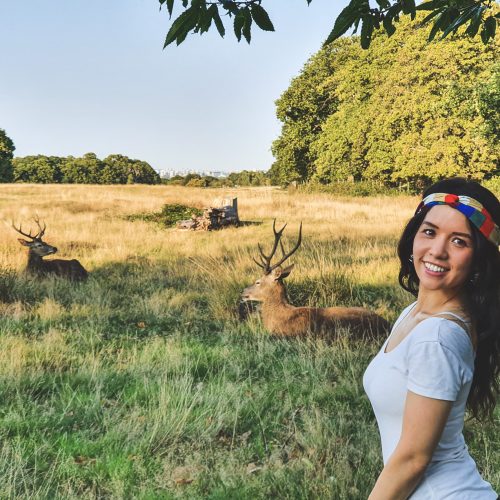 Deer watching in Richmond Park, London