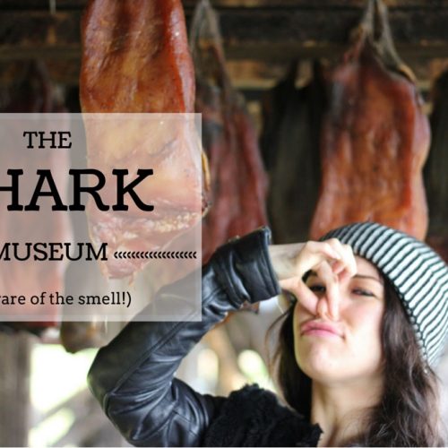 Shark Museum in Iceland