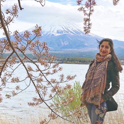 Toyko to Mount Fuji day trip