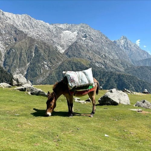 Triund Trek - hiking route guide